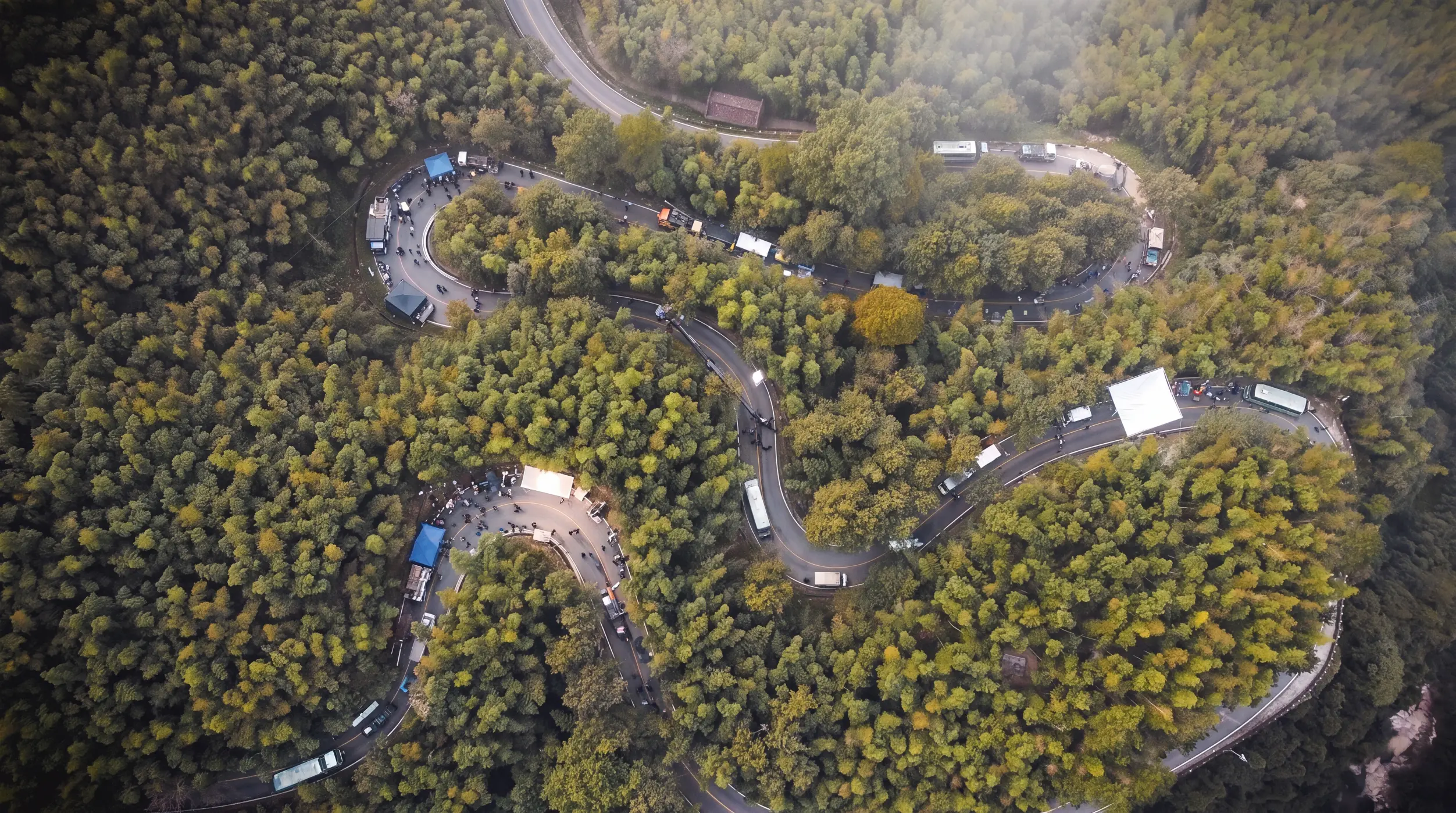 Aerial view of a winding road through a forest